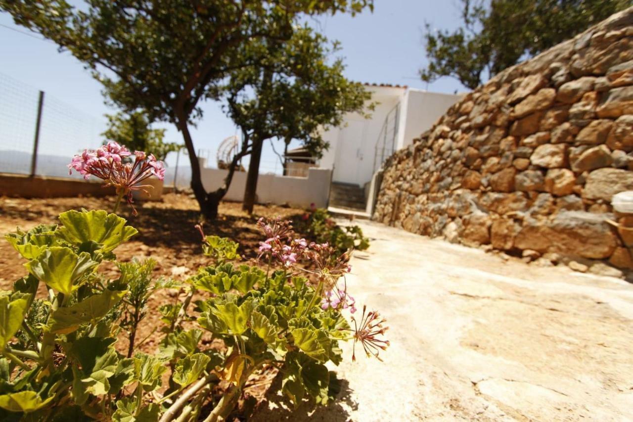 Villa Veranda Agios Nikolaos  Exterior photo